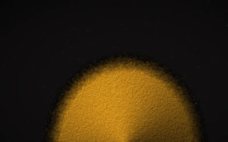 Macro view of yellow egg yolk powder