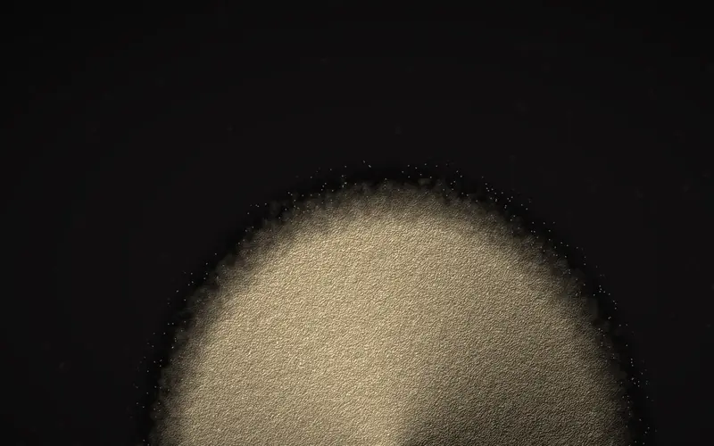 Macro view of a cream-colored functional ingredient powder